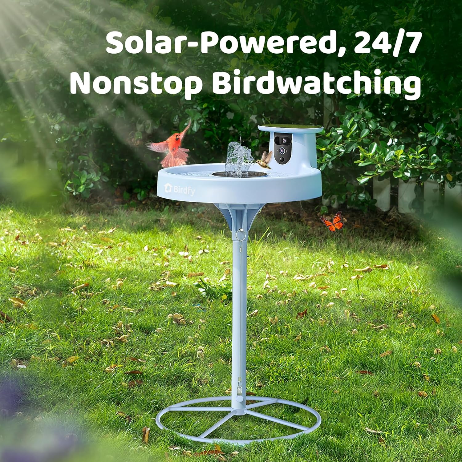 Smart Bird Bath. equipped with a camera. solar power supply. fountain and stand. It features a dual-lens camera for bird observation. automatically captures bird videos and has motion detection functionality.