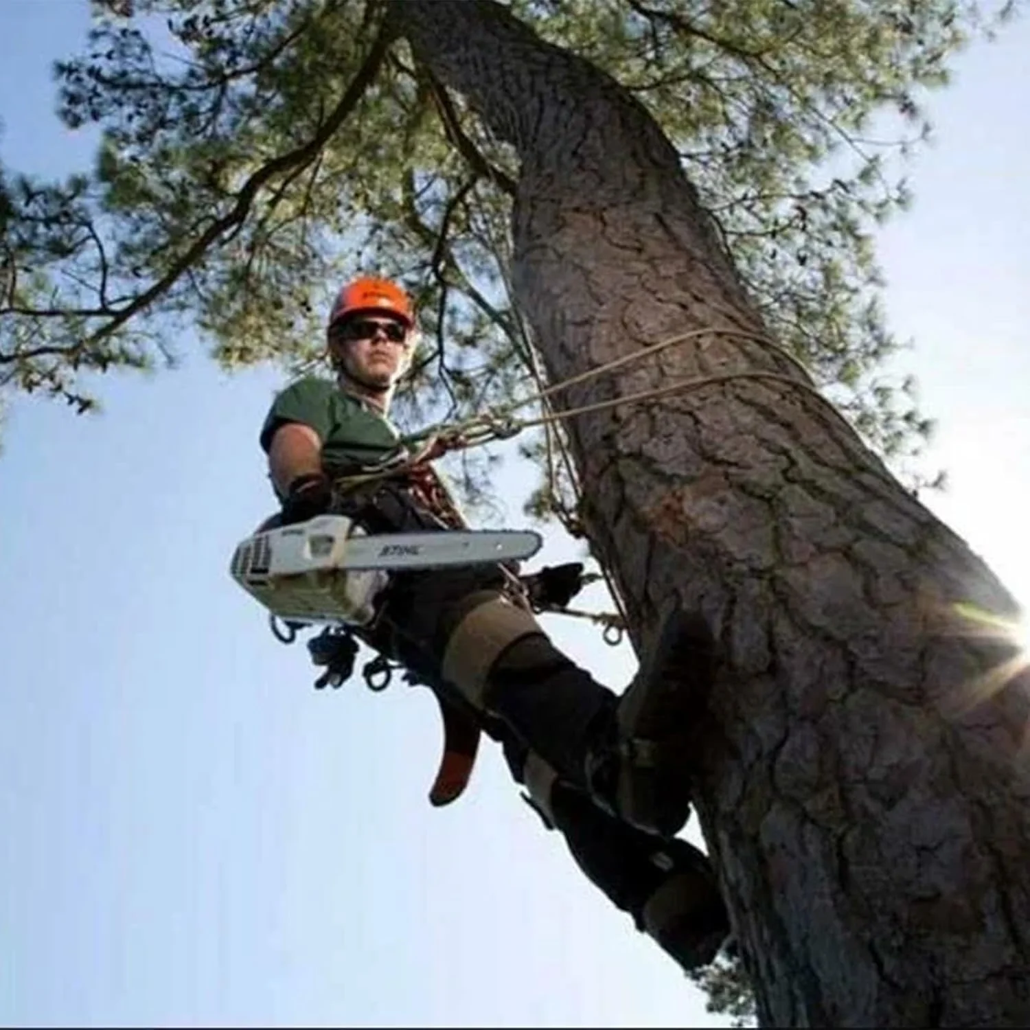 Tree Climbing Gear. Tree Climbing Spikes .with Adjustable Climbing Straps and Steel Core Flip Line Arborist Equipment for Climbers. Hunting. Fruit Picking  .Logging. Climbing Etc