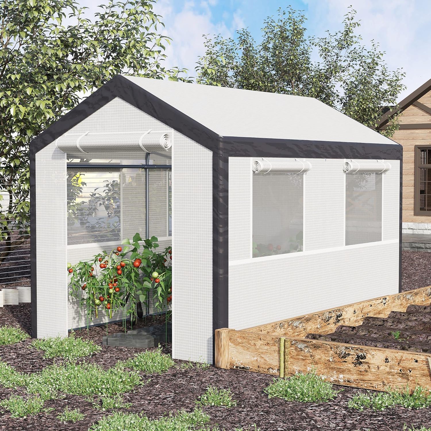 A 20-foot x 10-foot x 9-foot walk-in green house with an outdoor garden greenhouse. equipped with 6 roll-up windows. 2 zipper doors and a rain cover. in white color.